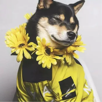 Köpek Yağmurluk Ceket Elbise Rüzgar Geçirmez Kedi Köpek Ceket Moda Su Geçirmez Yansıtıcı Pet Giyim Büyük köpek Evcil Hayvan Ceket